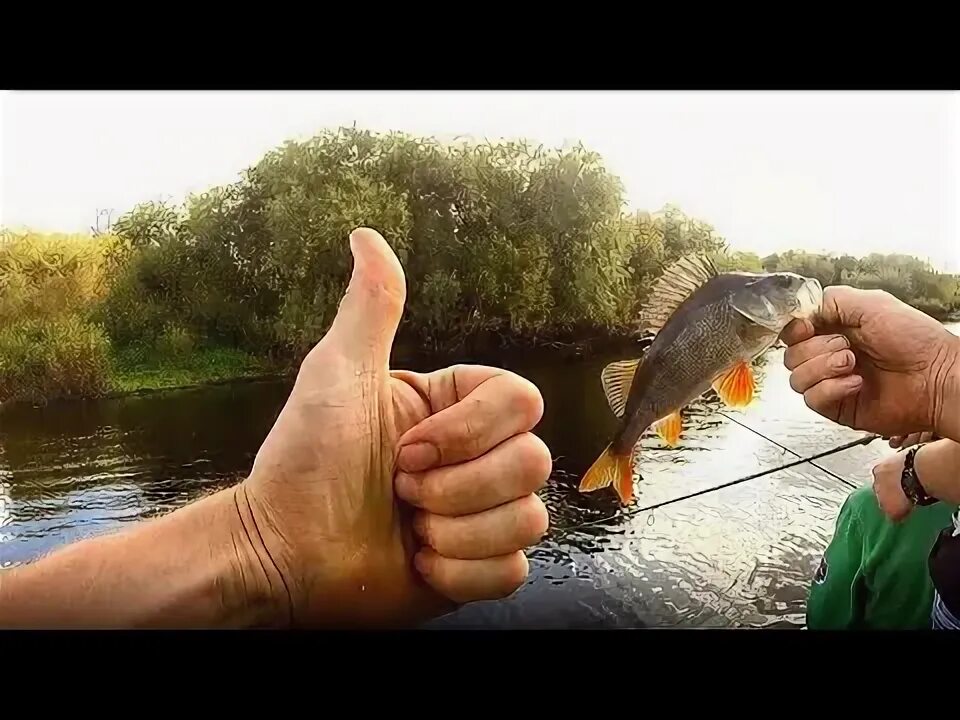 Осторожно рыбалка. Осторожно рыбалка. Рыбалка с рыбанутым. Рыбалка с агатом последнее. Рыбалка шок.