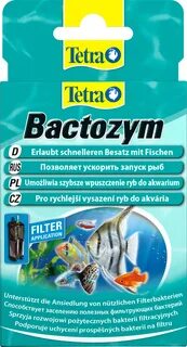 Tetra bacteria