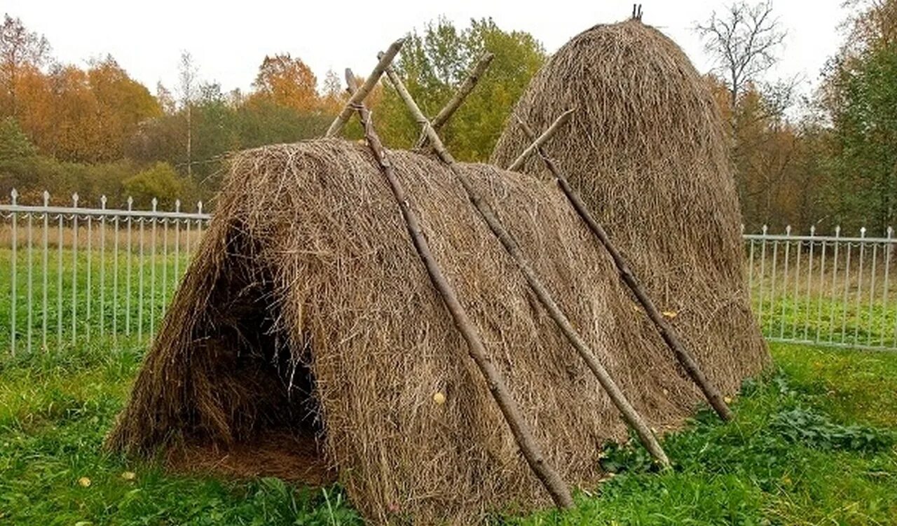 Музей шалаш Ленина. Музей шалаш Ленина в разливе. Шалаш Ленина в разливе. Музей "шалаш в.и.Ленина" в разливе (Сестрорецк).. Ленин живет в шалаше