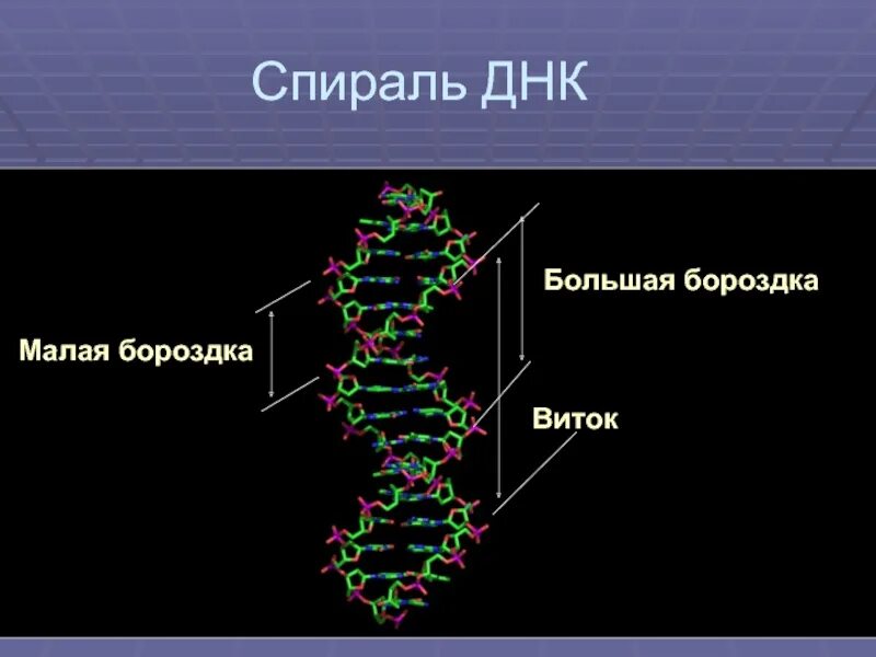 Днк сентябрь 2024. Амплификация днк схема. Днк сентябрь 2024. Днк сентябрь 2024. Днк сентябрь 2024.