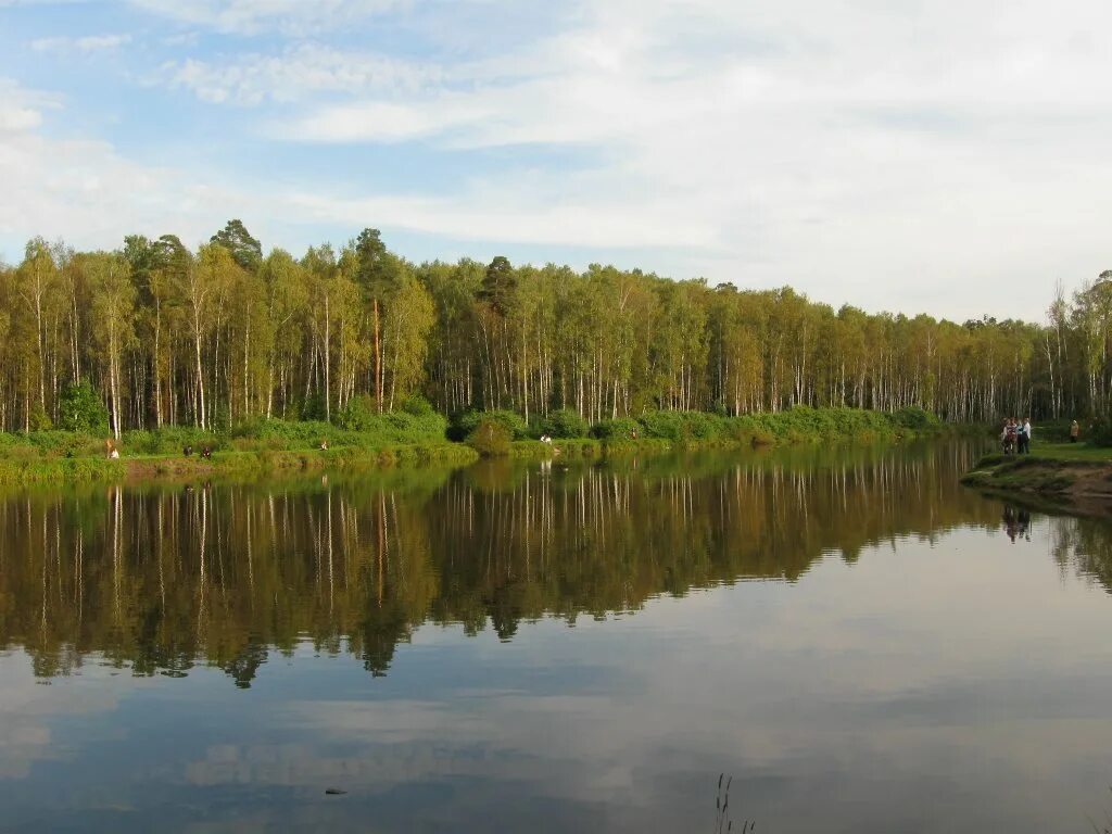 Пруд лосиный остров. Лосиный остров озеро. Лосиный остров ВАО. Лосиный остров реки. Лосиный остров пруд.