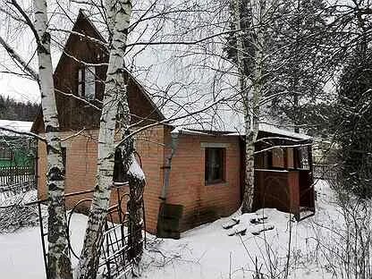 Лесной фрязино отзывы