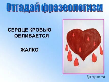 Сердце кровью обливается