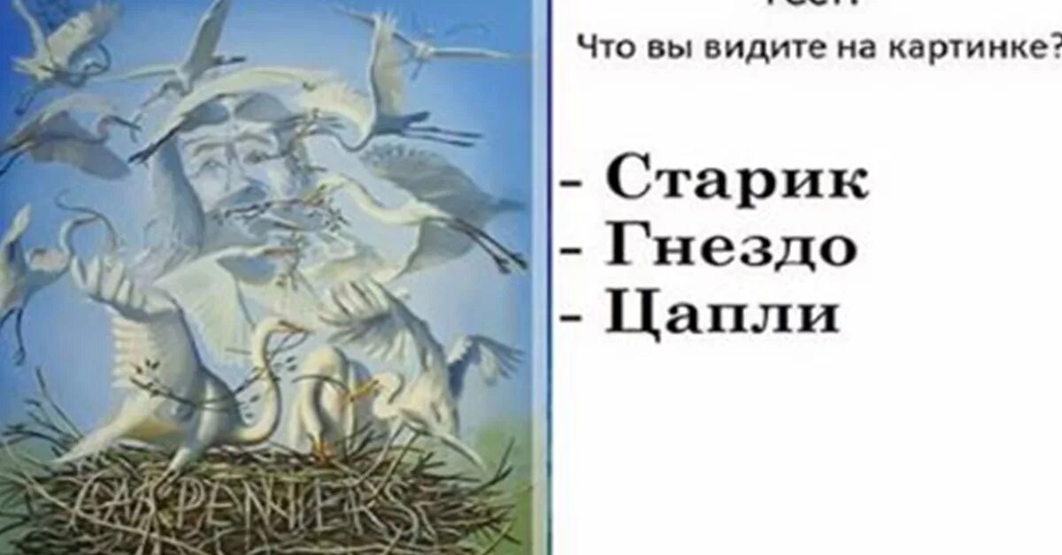 Тест первые души. Что видишь на картинке. Что вы видитеинс картинке. Тест что видишь на картинке. Что вы видите первым на картинке.