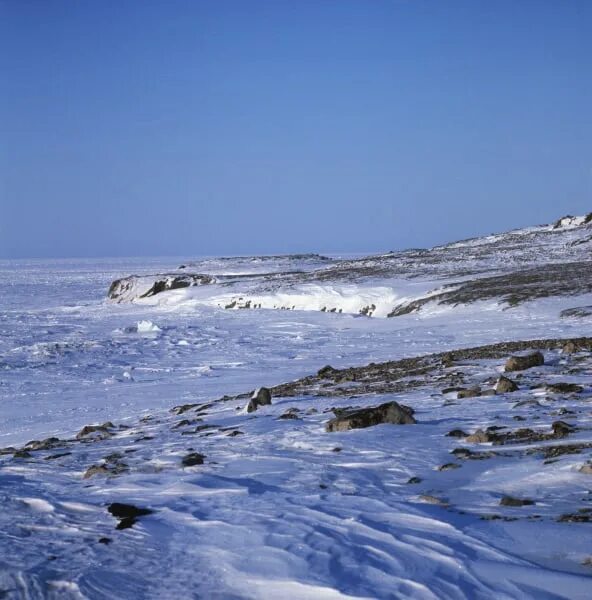 Мыс челюскин находится на скандинавском полуострове. Таймыр мыс Челюскин. Полуостров Таймыр мыс Челюскин. С. И. Челюскин и мыс Челюскина. Хатанга мыс Челюскин.