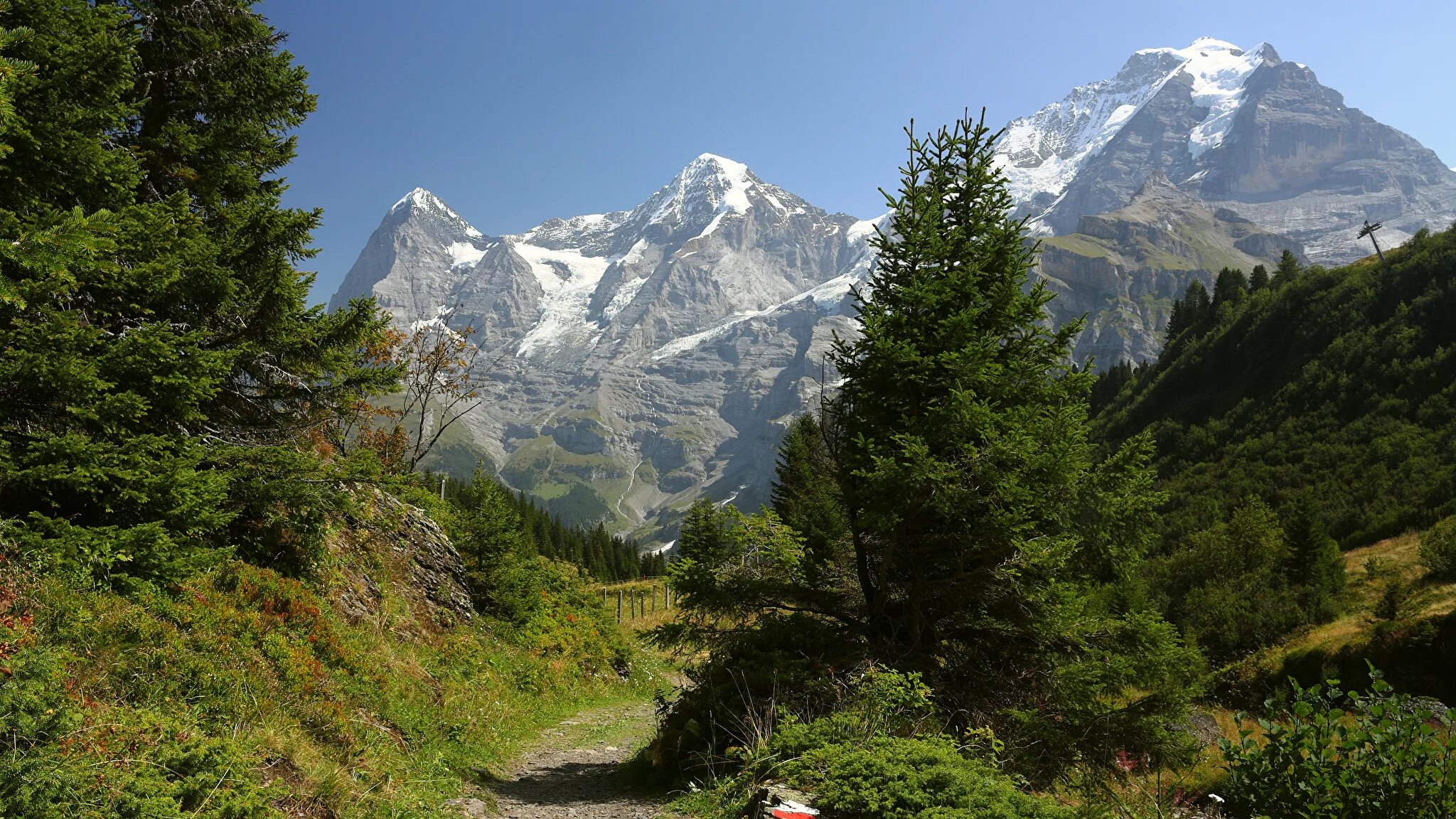 Горы бывают разными высокими и не. Юнгфрау (гора). Горная тропинка в Швейцарии. Лес и горы Швейцария. Юнгфрау Швейцария.