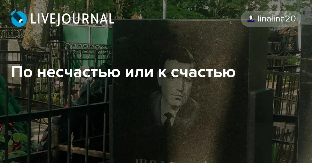 По несчастью или к счастью стих. Счастье или несчастье. По несчастью или к счастью истина проста. Стихи по несчастью или к счастью истина проста. Соседи по несчастью