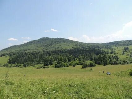 Прогноз с красногорское алтайский