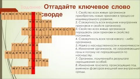 Свойства кроссворд