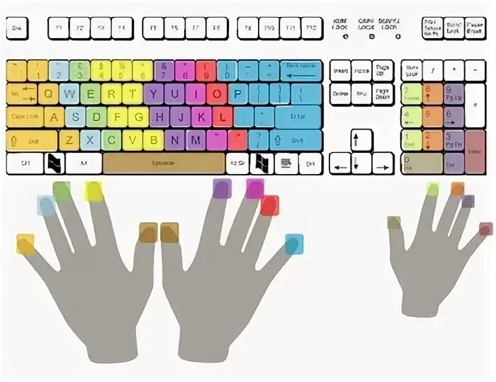Карточки по изучению клавиатуры для самых маленьких. Клавиатура десятипальцевый метод. Where on the keyboard /. Слепая печать на клавиатуре тренажер. Color typing.