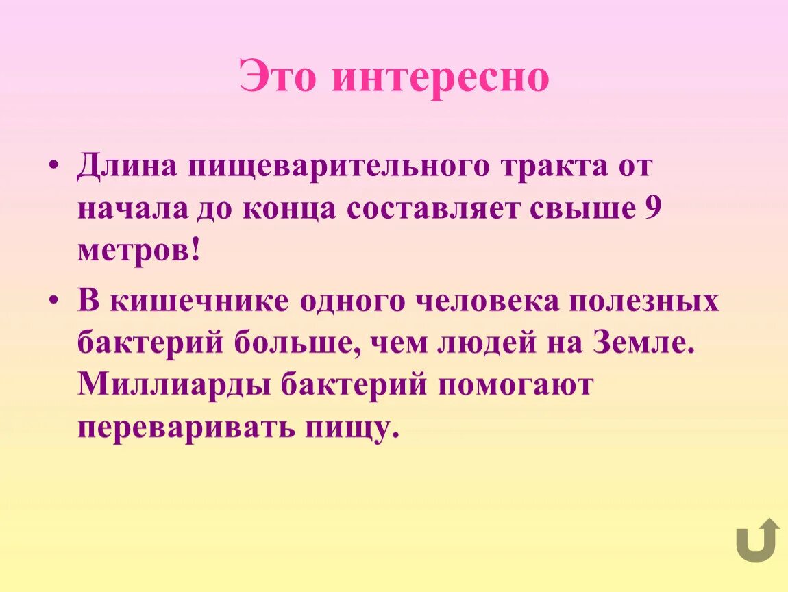 Интересные факты о пищеварительной системе. Интересно о пищеварительной системе. Интересно о пищеварительной системе. Интересно о пищеварительной системе. Интересные факты о пищеварении человека.