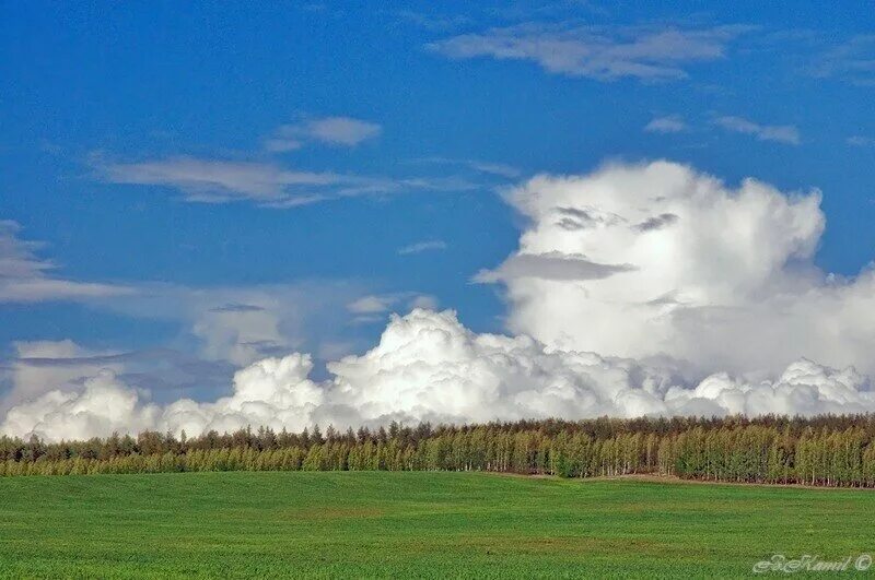 Лесостепи и степи лето и зима. Шиловская лесостепь лето. Шиловская лесостепь заказник. Государственный ландшафтный заказник «Шиловская лесостепь». Климат лесостепи летом.