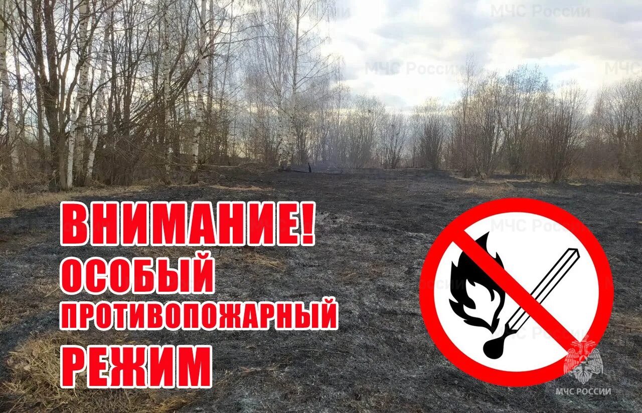Противопожарный режим воронеж. Противопожарный режим воронеж. Противопожарный режим на объекте. Внимание особый противопожарный режим. Противопожарный режим воронеж.