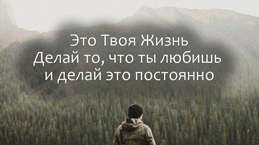 Цитата это. Живи цитаты. Делай то что Нравится цитаты. Заниматься любимым делом цитаты. Цитаты про любимое дело.