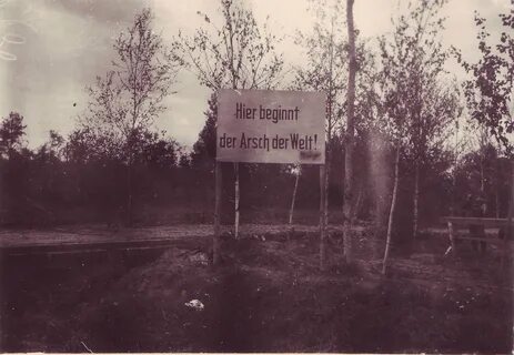 Песня arsch der welt alex