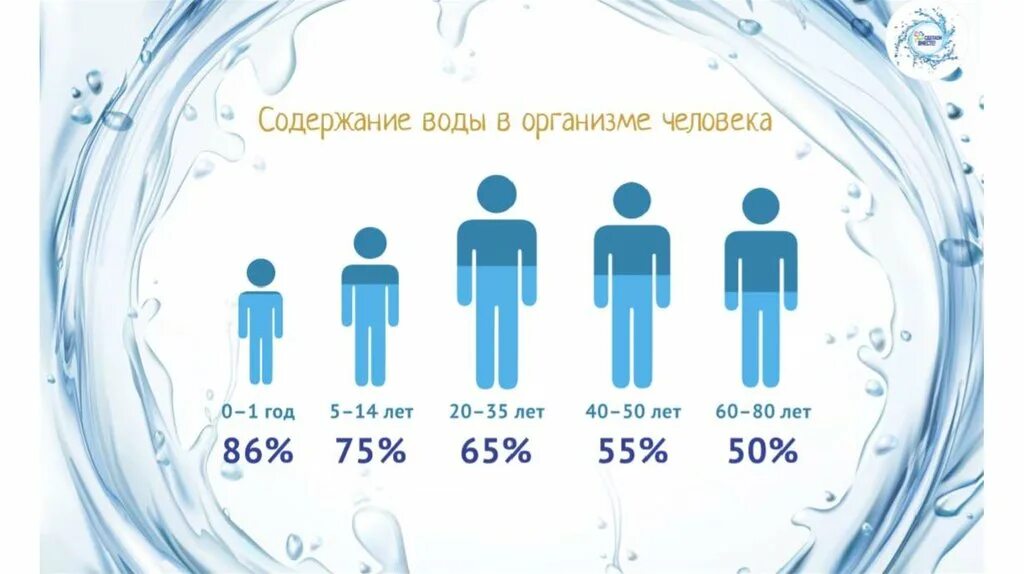 Вода в организме человека. Ода в организме человека.. Содержание воды в организме. Количество воды в организме человека.