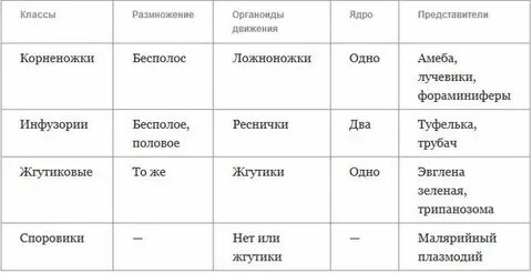 Какие общие признаки простейших биология