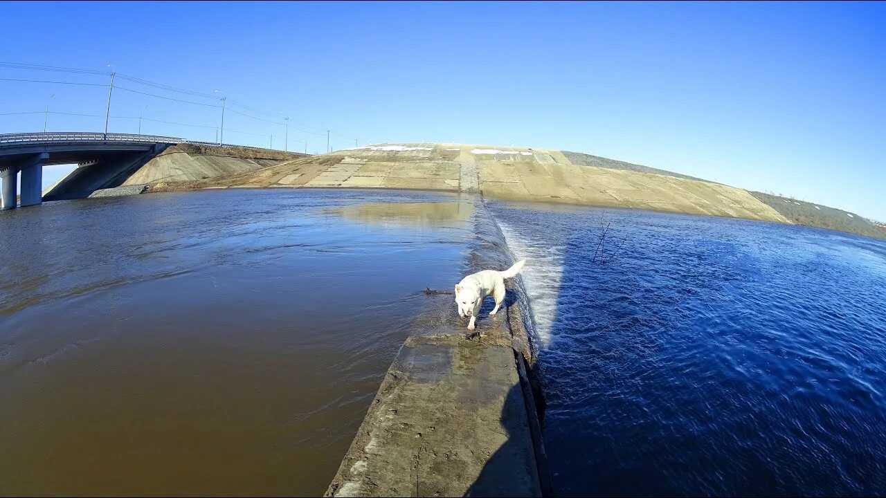 Уровень воды в мокше на сегодня. Плотины на реке Мокша. Плотина на Мокше. Камские разливы. Разлив Мокши.