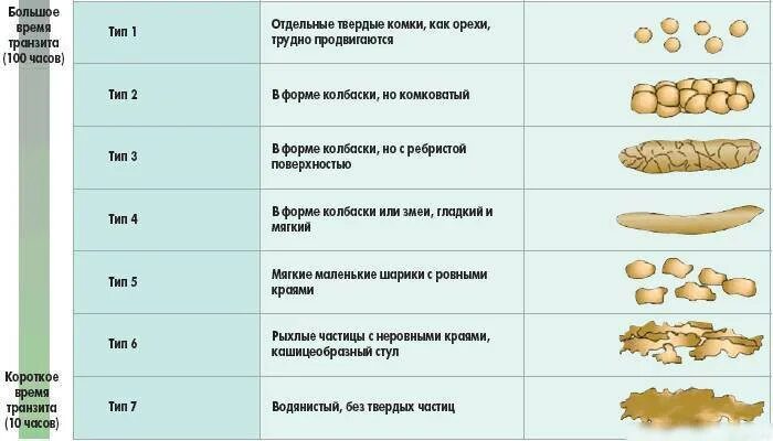 От чего может быть зеленый кал. Форма кала. Цвет кала при заболеваниях. Цвет кала при хроническом панкреатите. Нормальный цвет стула у взрослого.