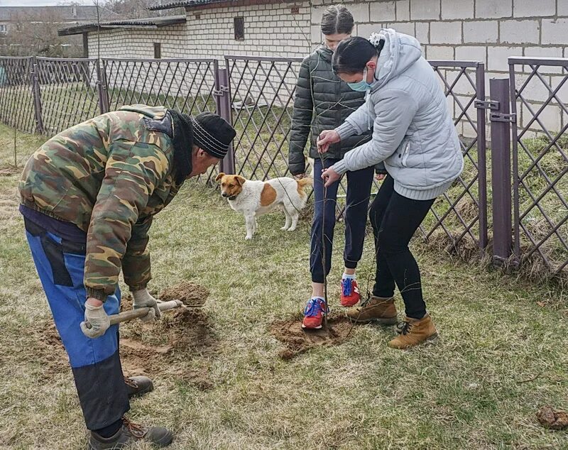 Клецкий лесхоз. Деревня Синявка Клецкого района. Агрогородок Синявка. Клецкий район.