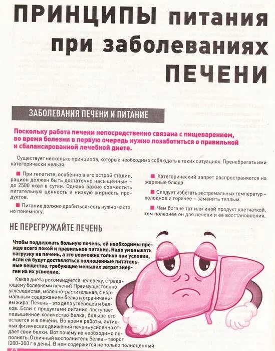 Можно ли собакам давать печень