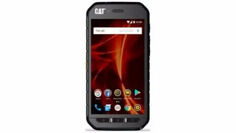 Cat s 0