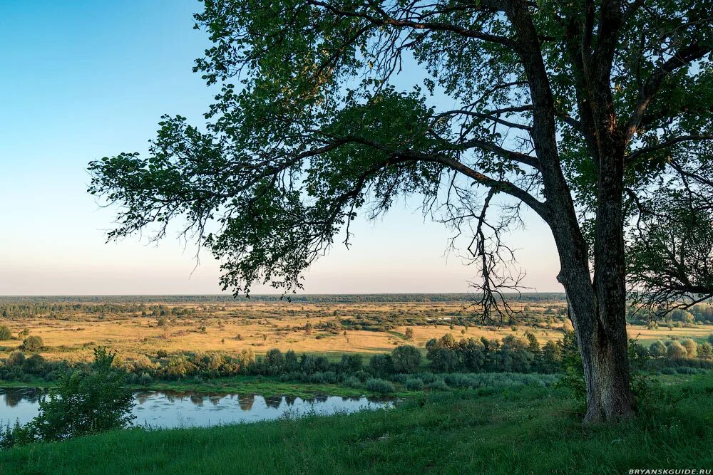 Погода селец трубчевского района. С Радутино Трубчевского района Брянской области. Деревня Радутино Трубчевский район. Сагутьево Брянская область. Село Сагутьево Брянской области Трубчевского.