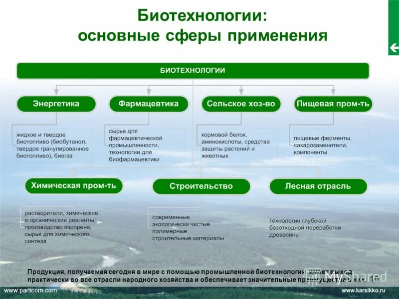 Сферы биотехнологии. Сферы применения биотехнологий. Виды биотехнологии. Примеры использования биотехнологий. Направления биотехнологии.