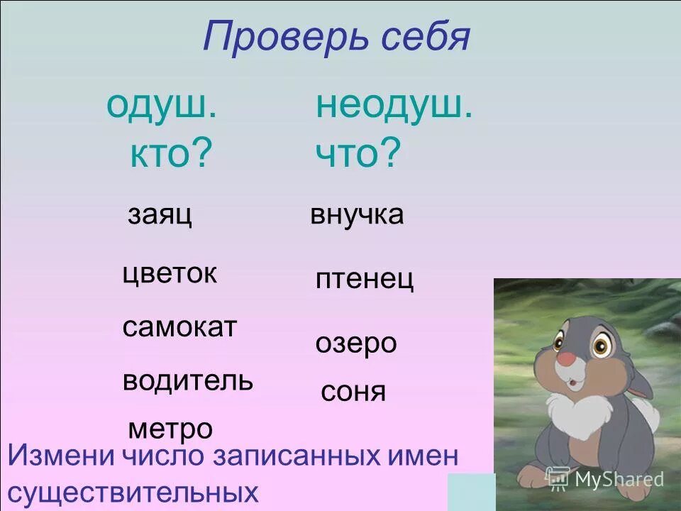 Одуш неодуш. Слова одуш и неодуш. Одуш и неодуш имена существительные. Одуш и неодуш презентация. Измените число имен существительных запишите пары слов