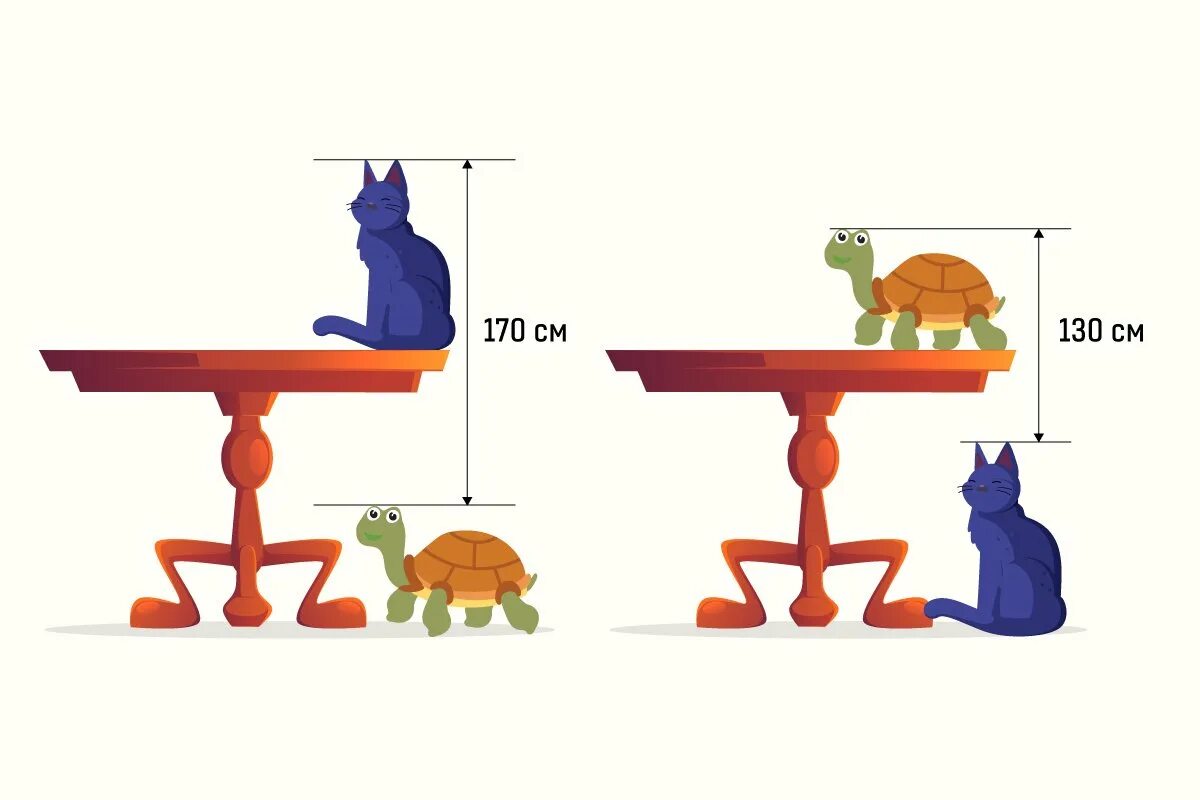 Задача высота стола. Кошка и черепаха высота стола. Задача про стол кота и черепаху. Задача про кошку и черепаху на столе. Кот и черепаха на столе высота стола.