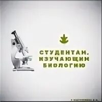 Студенты изучающие биологию. Студенты изучающие биологию
