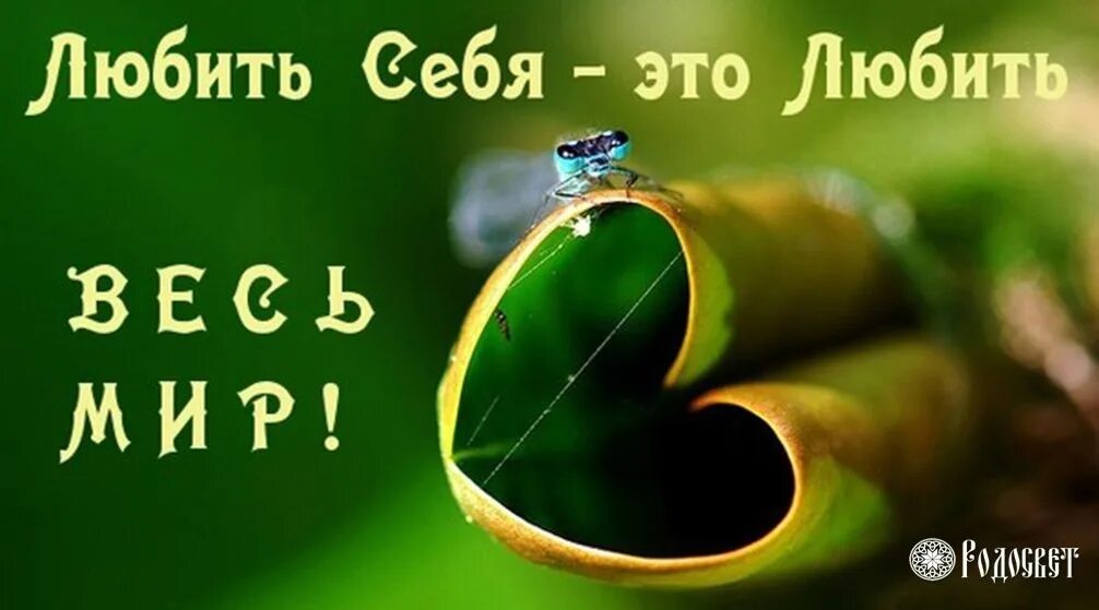 Все любят д