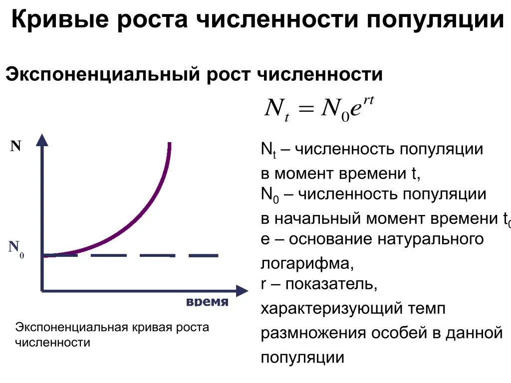 Экспоненциальный рост численности. Кривые роста численности. Экспоненциальный рост численности популяции. Экспоненциальный рост функция.