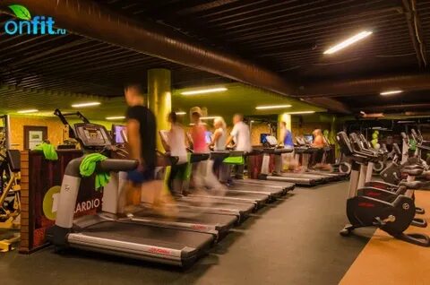 Wegym расписание
