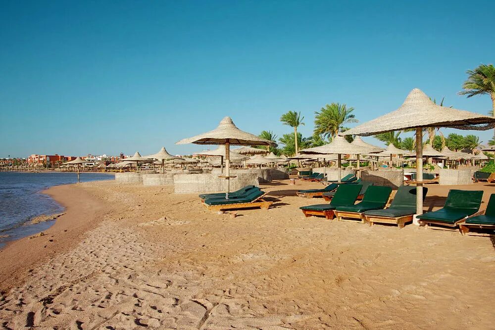 Albatros laguna vista beach 5. египет albatros laguna vista 5*. Albatros laguna vista beach 5 шарм эль шейх. отель лагуна виста шарм-эль-шейх. El vista.