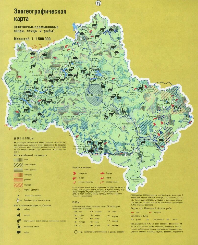 Карта растений московской области. Карта животных Подмосковья. Зоогеографическая карта Московской области. Карта обитания животных Московской области.