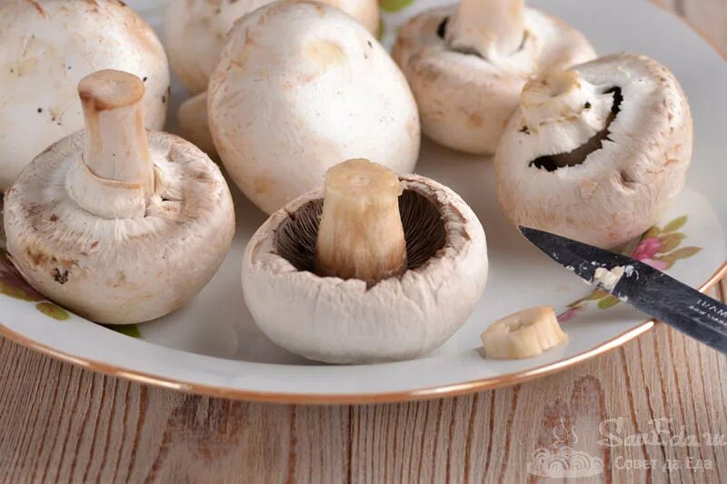 Грибы свежие чистка. Очистка грибов. Как почистить шампиньоны. Зачищаем шампиньоны. Шампиньоны свежие.