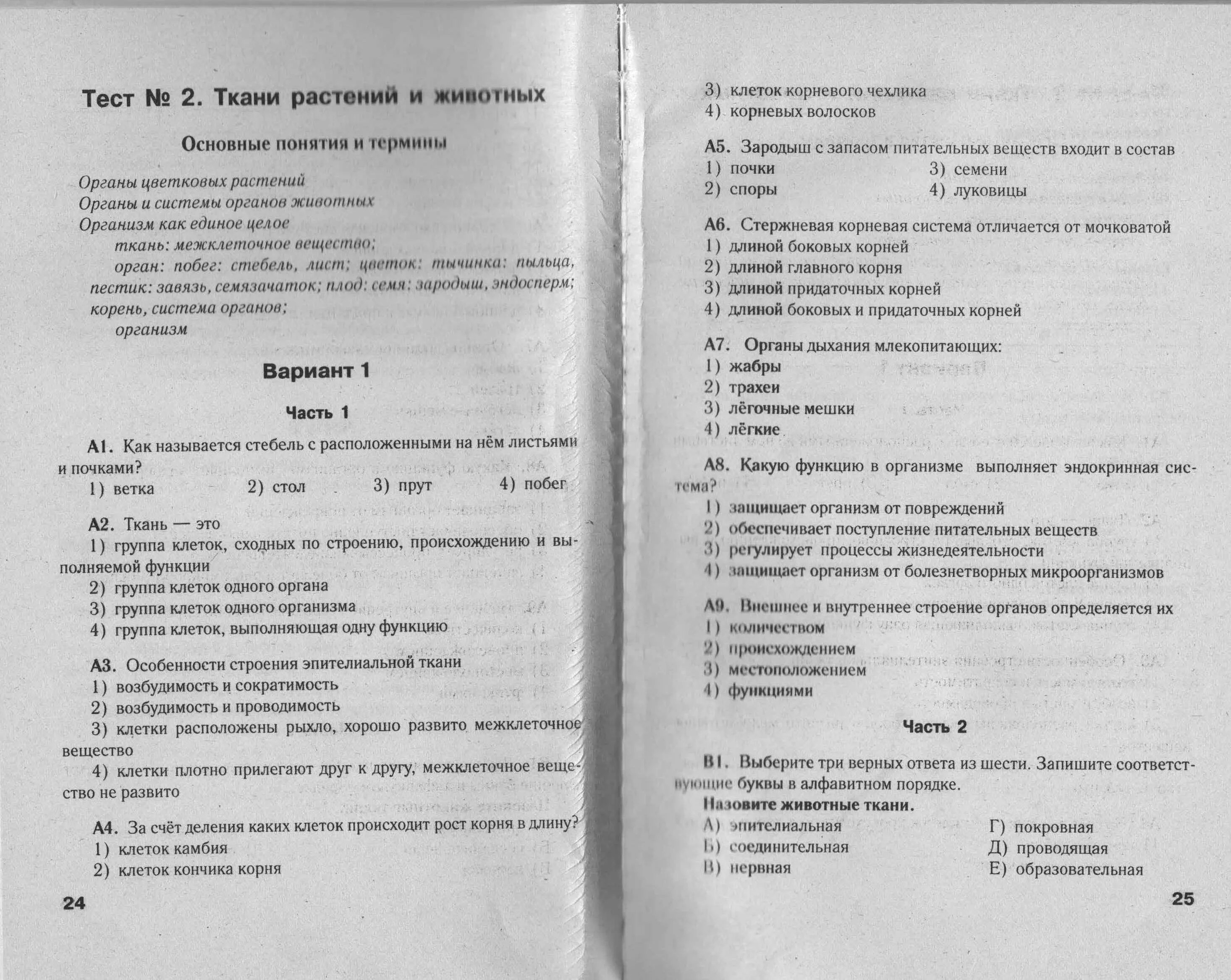 Тест по биологии глаз. Ткани растений тест. Тест по биологии 6 класс ткани растений. Ответы по биологии тест тема ткани. Биология тест 5 класс ткань тест 6.