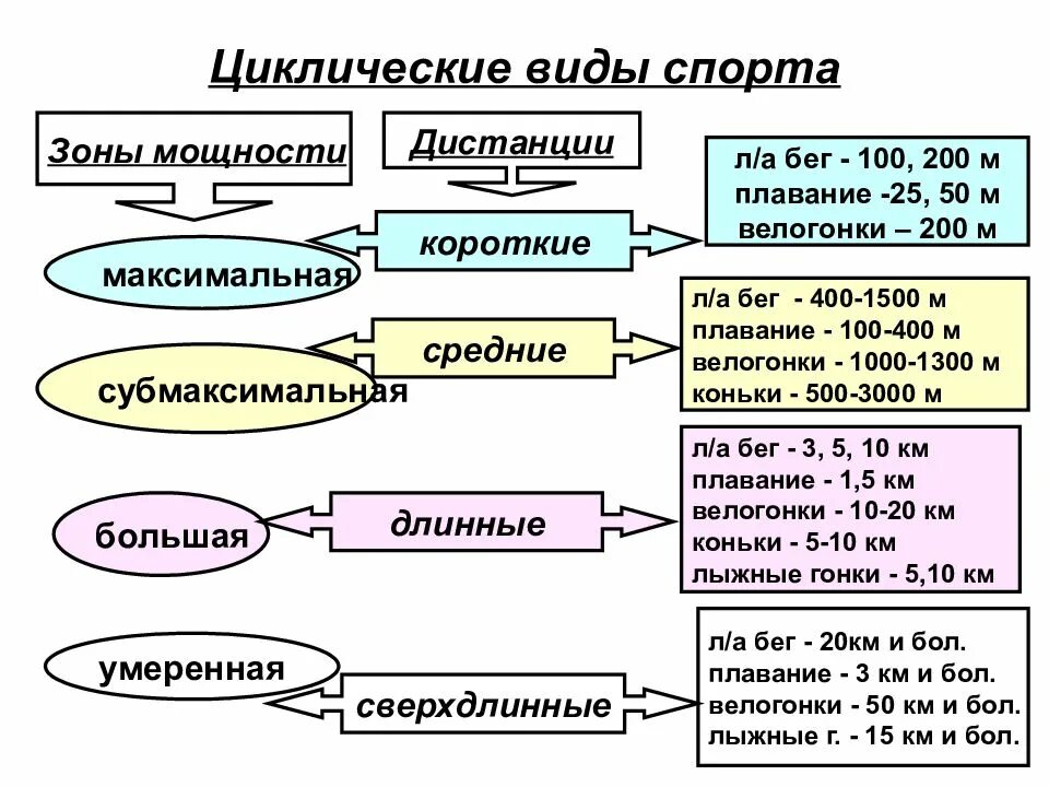 Какой из перечисленных видов спорта считается циклическим. Классификация циклических видов спорта. циклические виды спорта характеристика. цеклонические виды спорта. иклические видыспорта.