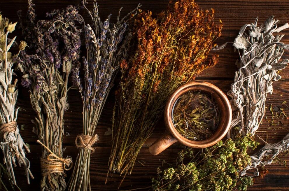 Травы для чая. Чай с травами. Чай травы Эстетика. Чай с травами Эстетика.