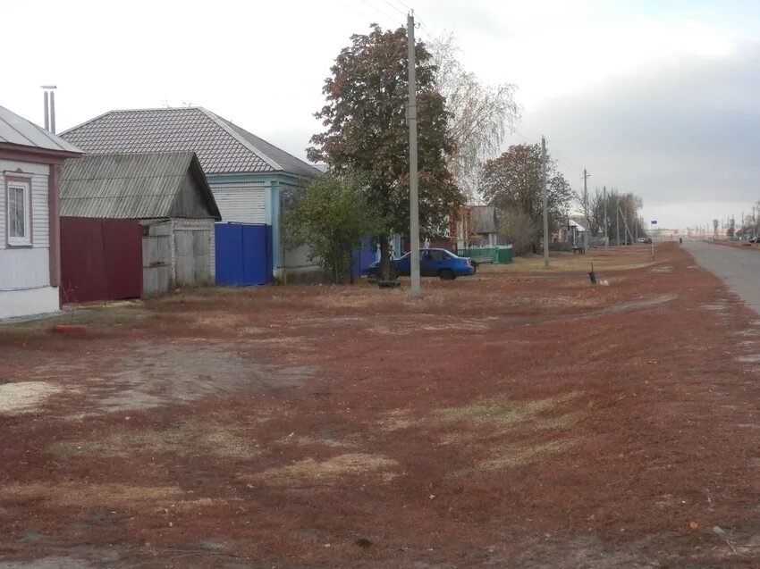 Новохоперск алферовка. Новохоперск алферовка. Погода в алферовке новохоперском районе. Церковь николая чудотворца в северской. Погода в алферовке новохоперском районе.