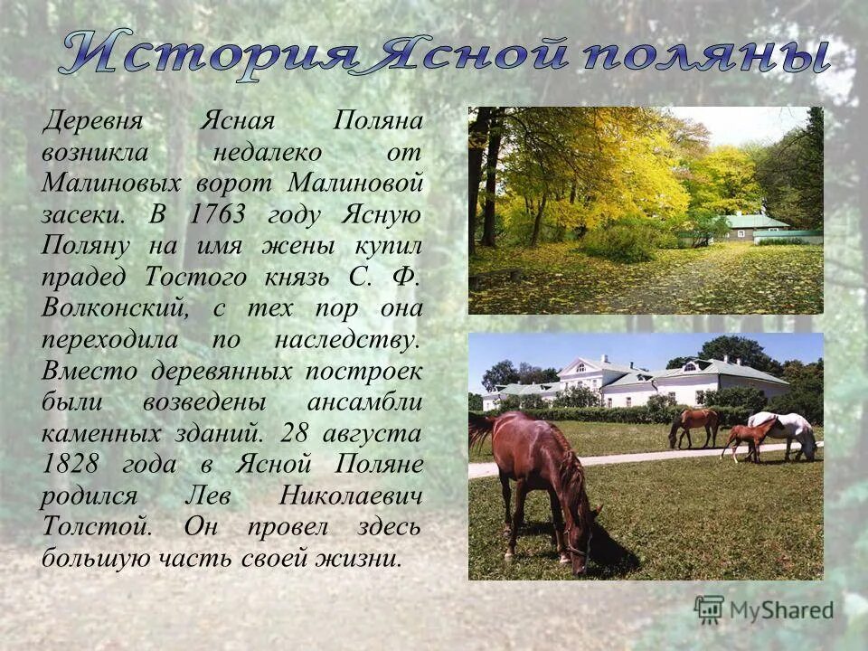 Ясная поляна лев николаевич толстой. Сообщение на тему ясная поляна кратко. Сообщение на тему ясная поляна кратко. Лев николаевич толстой ясная поляна рассказ. Лев николаевич толстой ясная поляна рассказ.