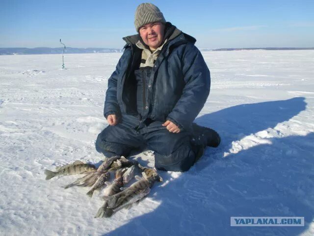 Рыболовный камское устье. Рыбалка на Каме зимой. Зимняя рыбалка Кама. Быргында Удмуртия рыбалка. Камское водохранилище рыбалка.