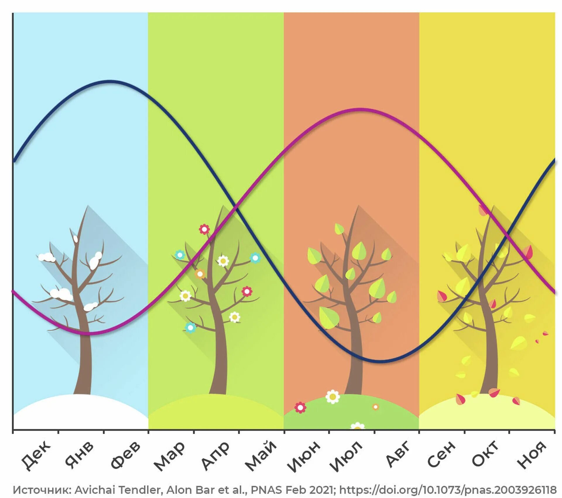 Сезонность года. Сезонность. Сезонность в туризме. Сезонный цикл деревьев. Сезонность картинки.