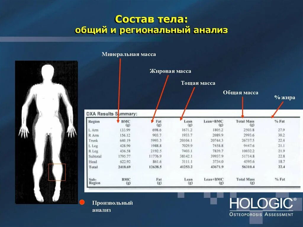 Телу и организму в общем. Физиологические системы организма человека. Системы органов организма человека. Назовите основные уровни организации человека. Строение скелетной мышцы человека.