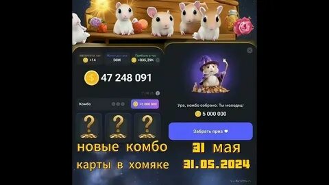Новое комбо в хомяке 27.07