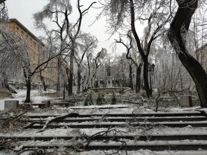 Ледяная владивосток