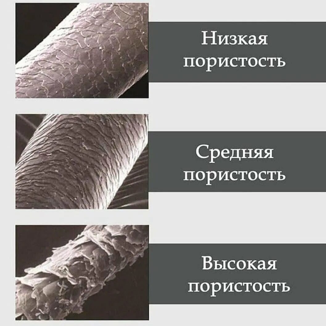 Различия волос. Типы пористости волос. Пористая структура волос. Структура волоса чешуйки. Разные структуры волос.