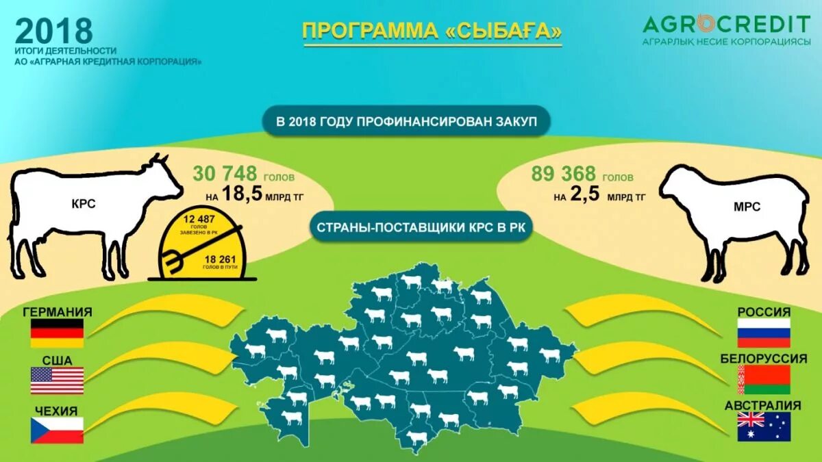 Транспорт для перевозки коров. Скотовоз с коровами. Транспорт для перевозки скота. Транспортировка животных автомобильным транспортом. Импорт животных.