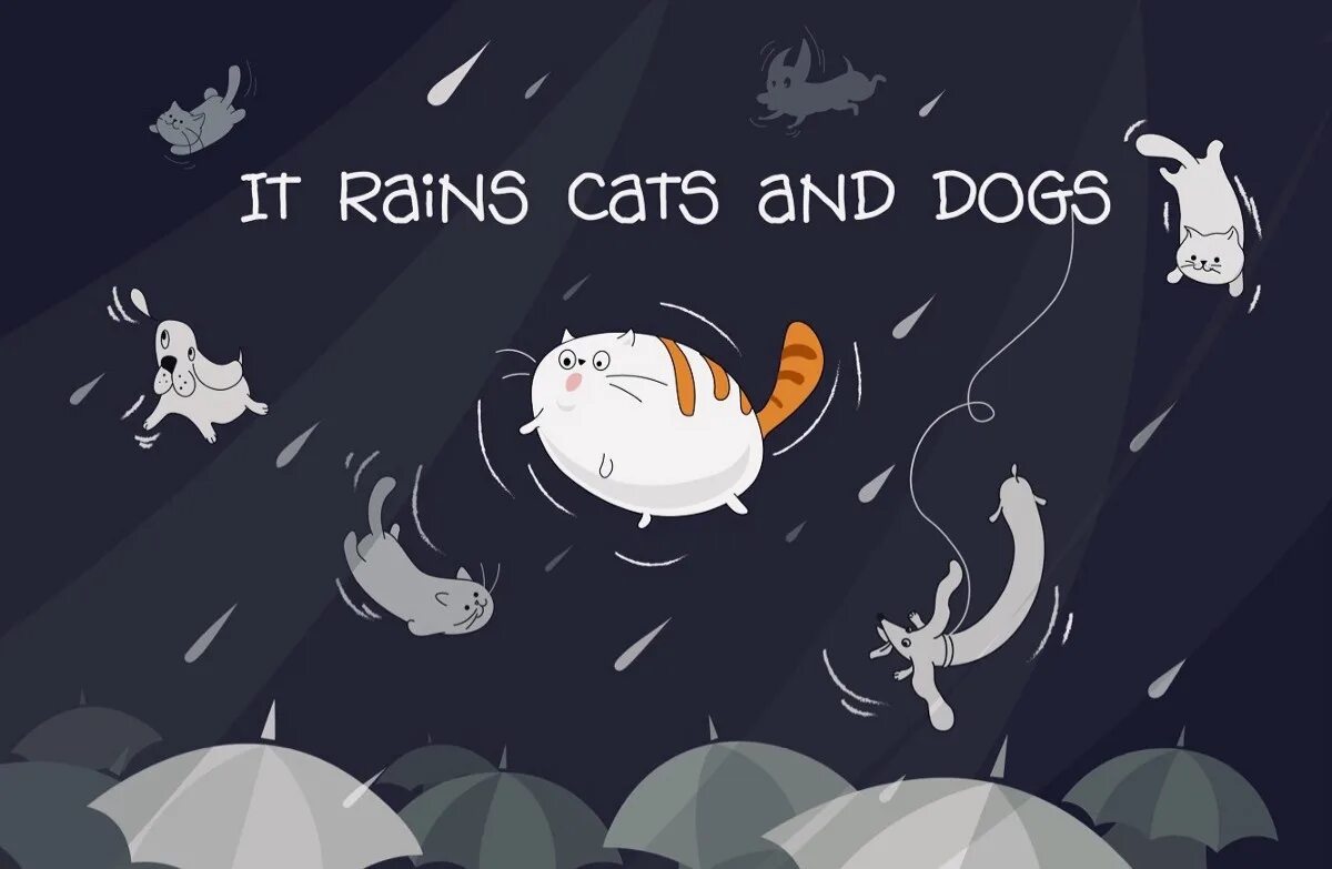 Дожди кэт. Идиома дождь из кошек и собак. Идиомы raining Cats and Dogs. Rain Cats and Dogs идиома. Идиома it's raining Cats and Dogs.